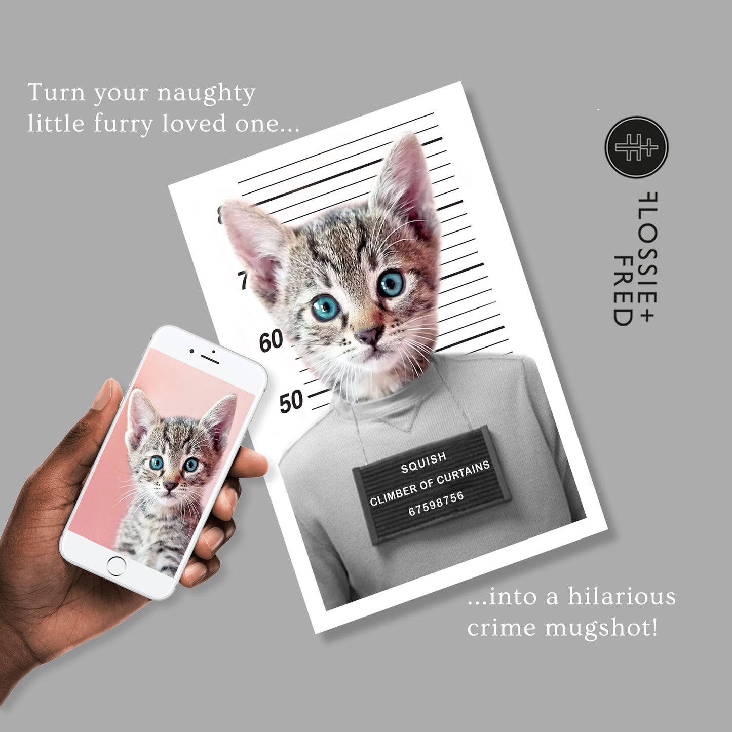 Personalised Pet Colour Mugshot Portrait