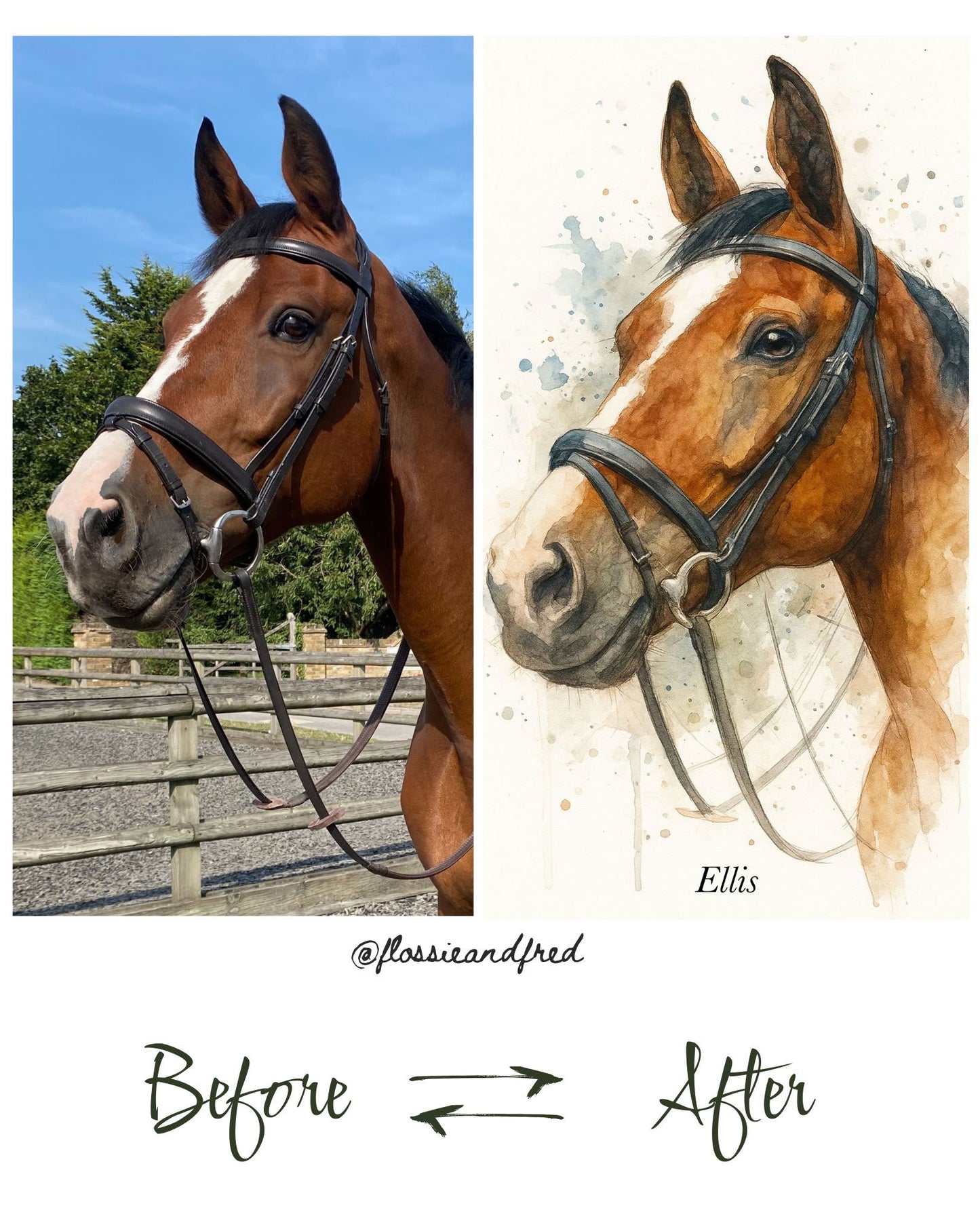 Personalised Watercolour Horse Portrait Print
