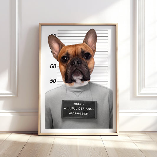 Personalised Pet Colour Mugshot Portrait